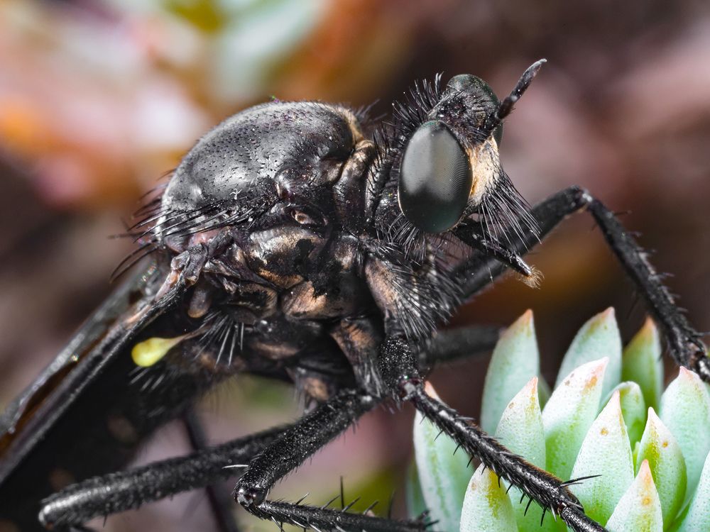 Photograph by Владимир Богданов