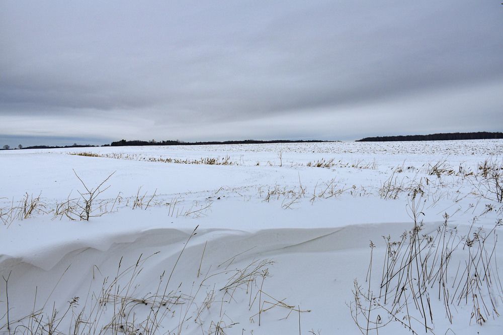 Photograph by Андрей Боиц