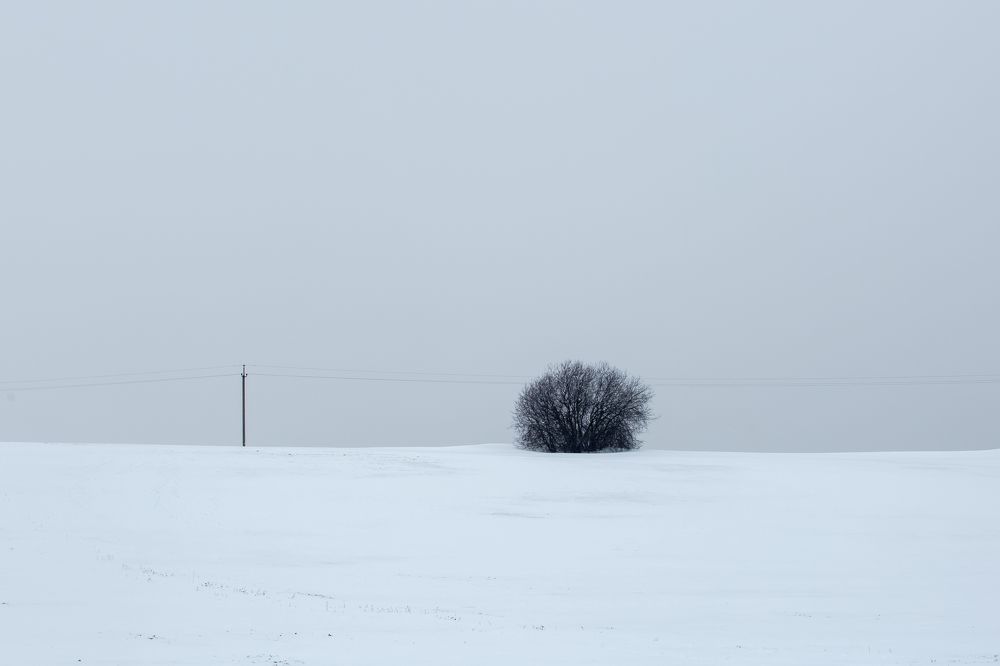 Photograph by Наталья Катюжанская