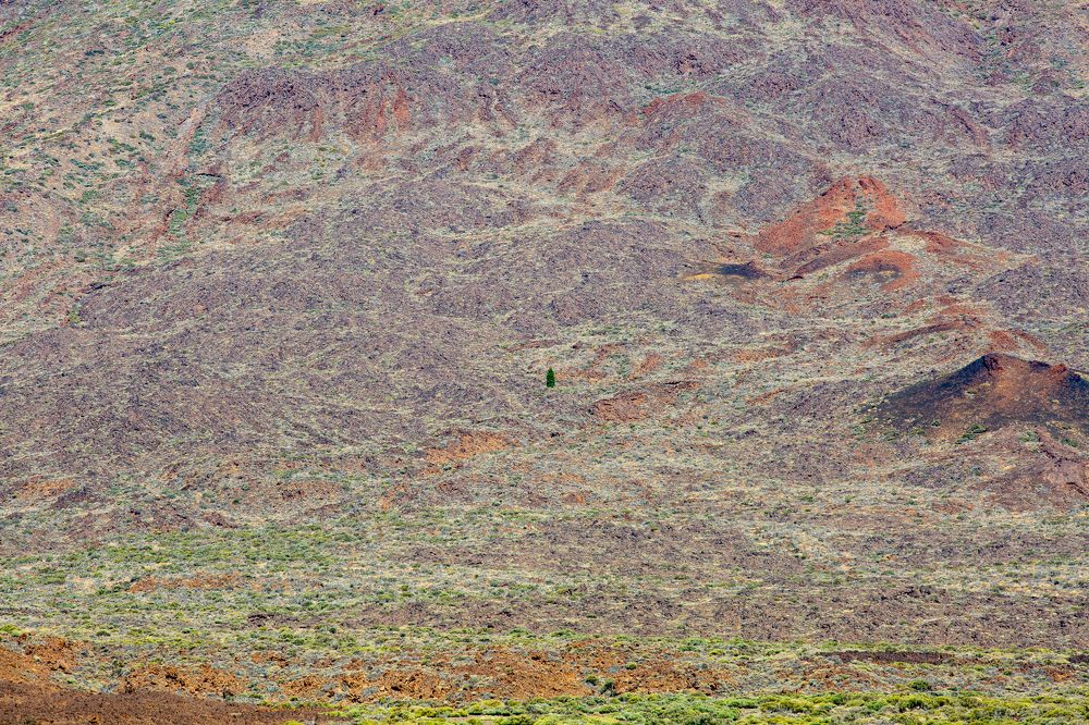 Photograph by Наталья Катюжанская