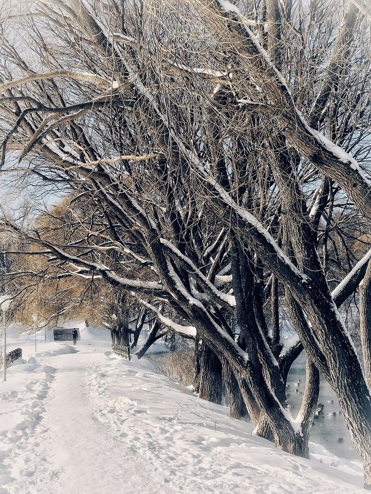 Photograph by Elena Starodvorskaya