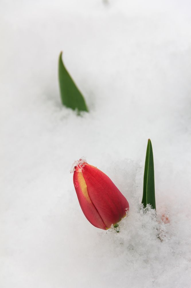 Фотография автора Василий Михайлин