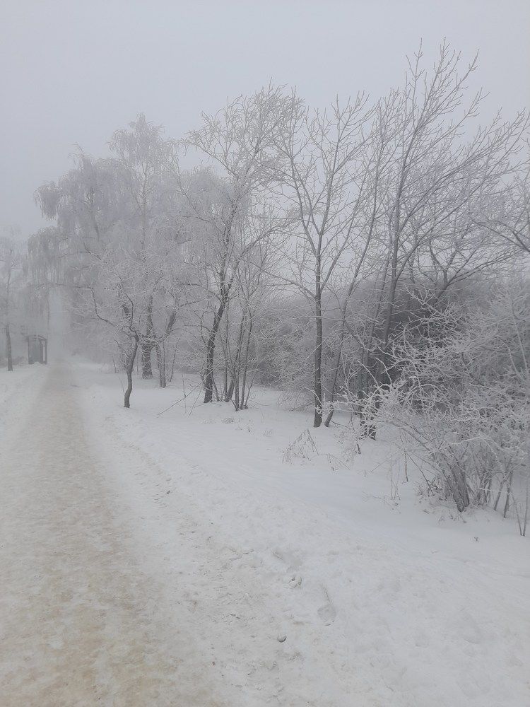 Photograph by Юрий Хадыка