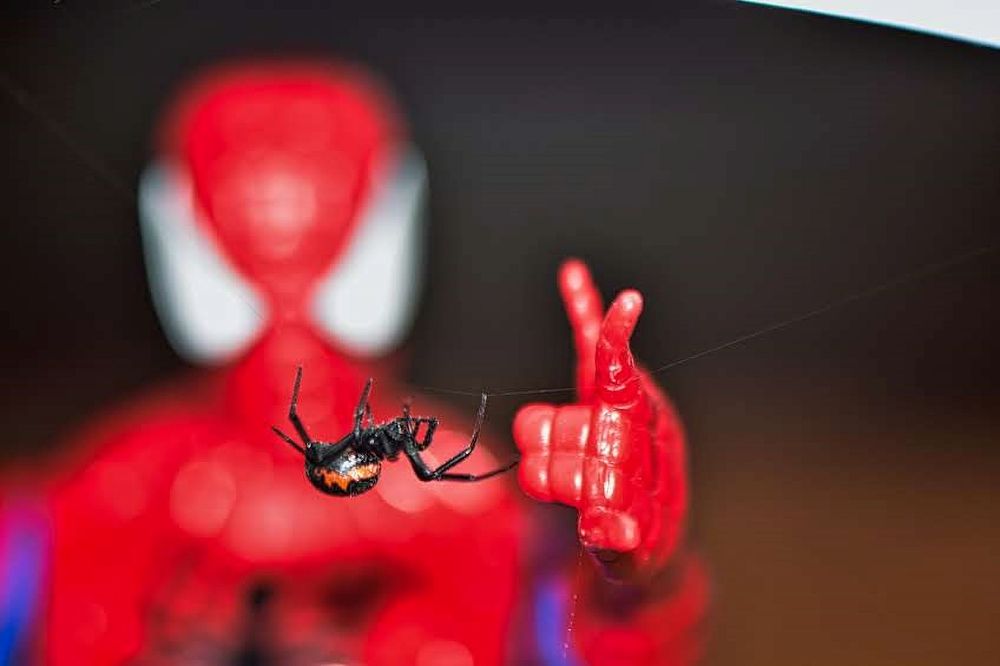 Photograph by אסף אברס