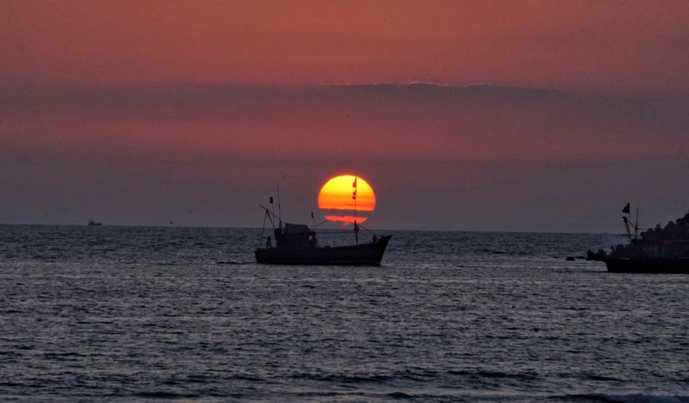 Фотография автора Pavitra Shettigar