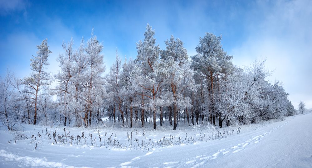 Photograph by Кобец Дмитрий