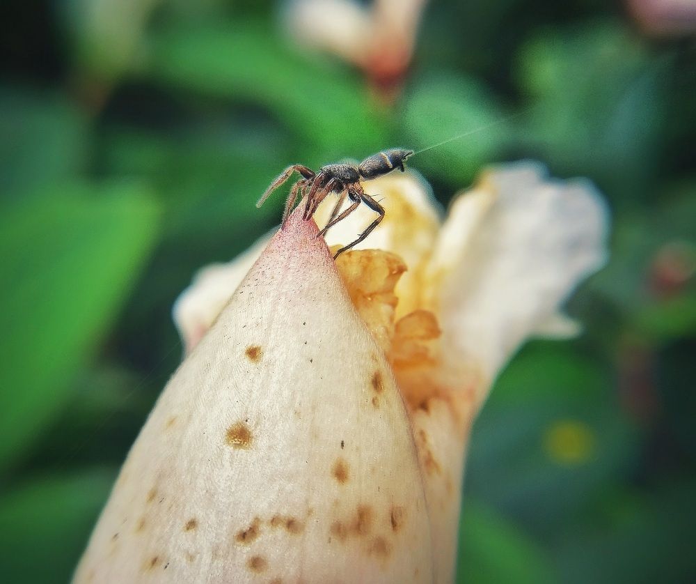 Фотография автора Pavitra Shettigar