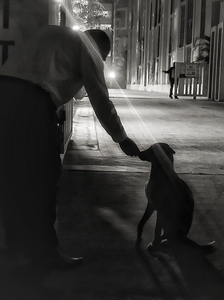 Фотография автора Pavitra Shettigar