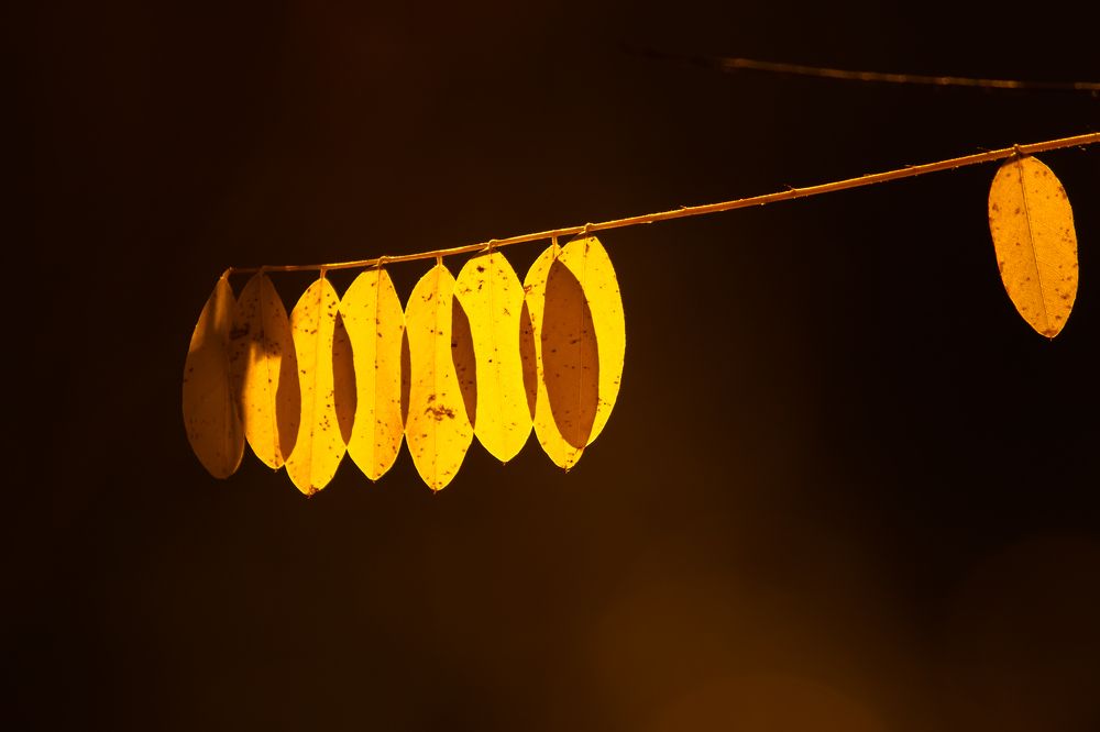 Photograph by Кобец Дмитрий