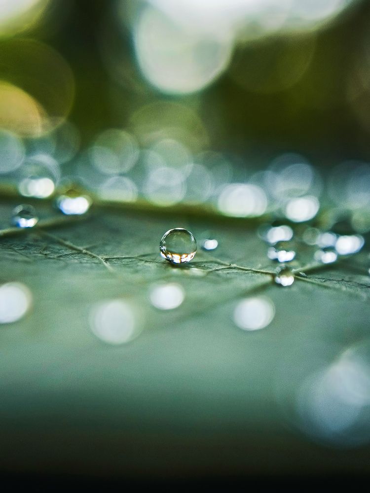 Photograph by Nizamudeen