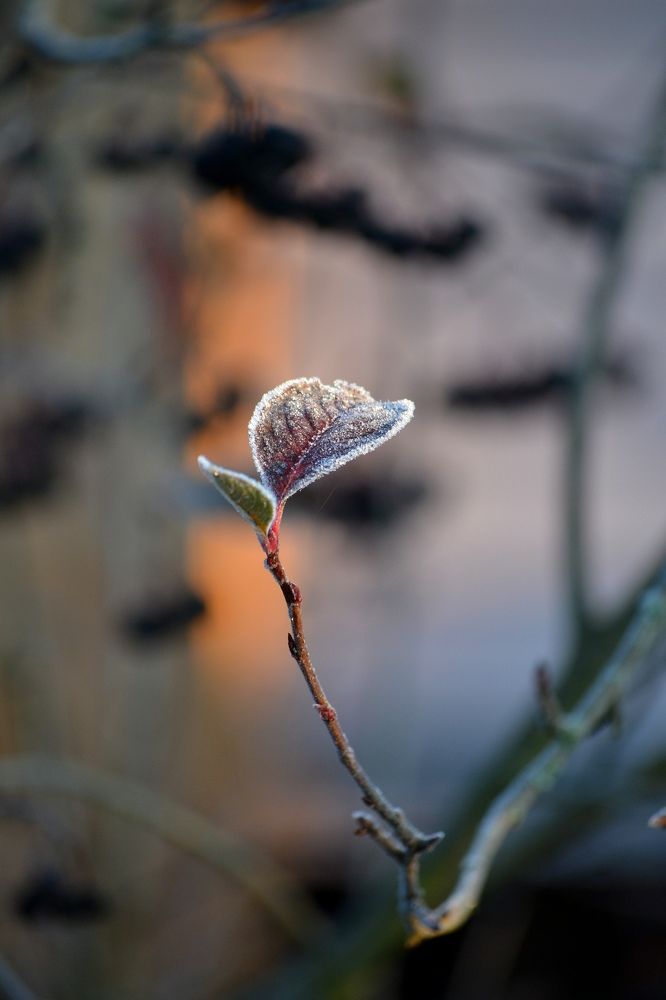 Photograph by Кира Орлова