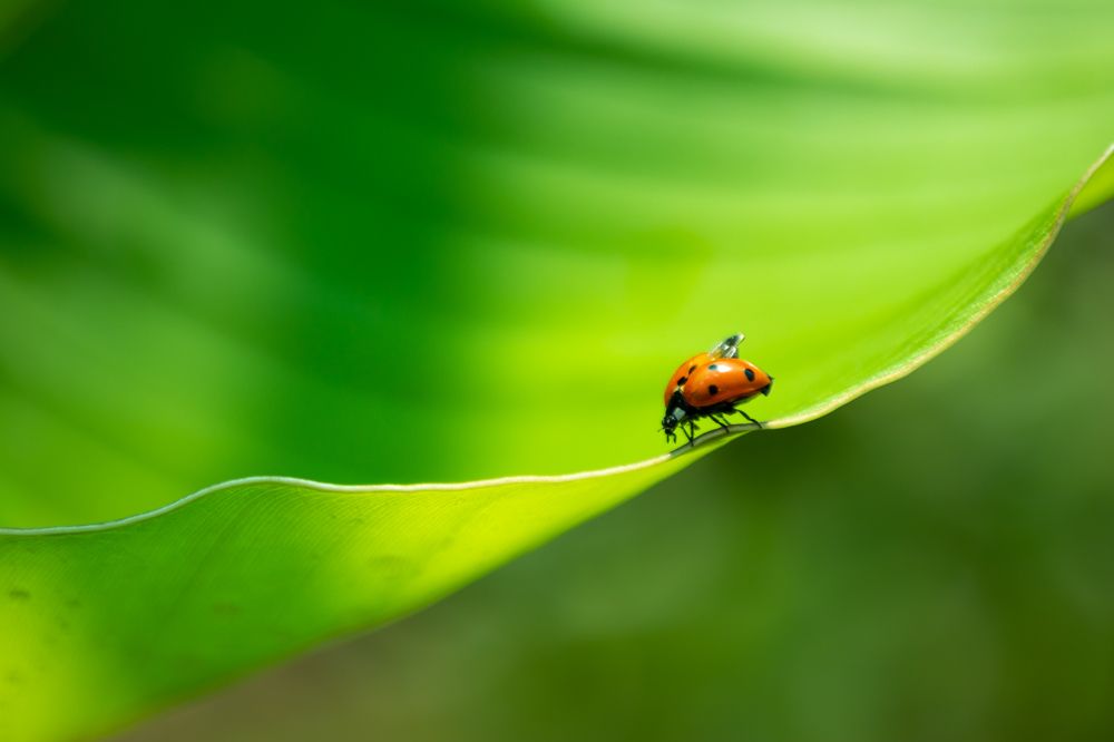 Photograph by Кобец Дмитрий