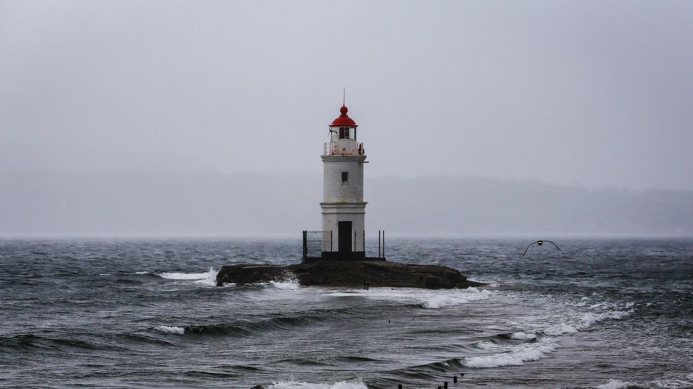 Photograph by Валентин Кольцов