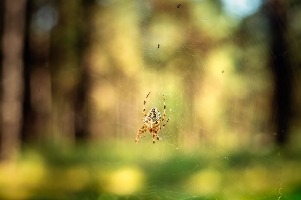 Photograph by Юрий Москалев