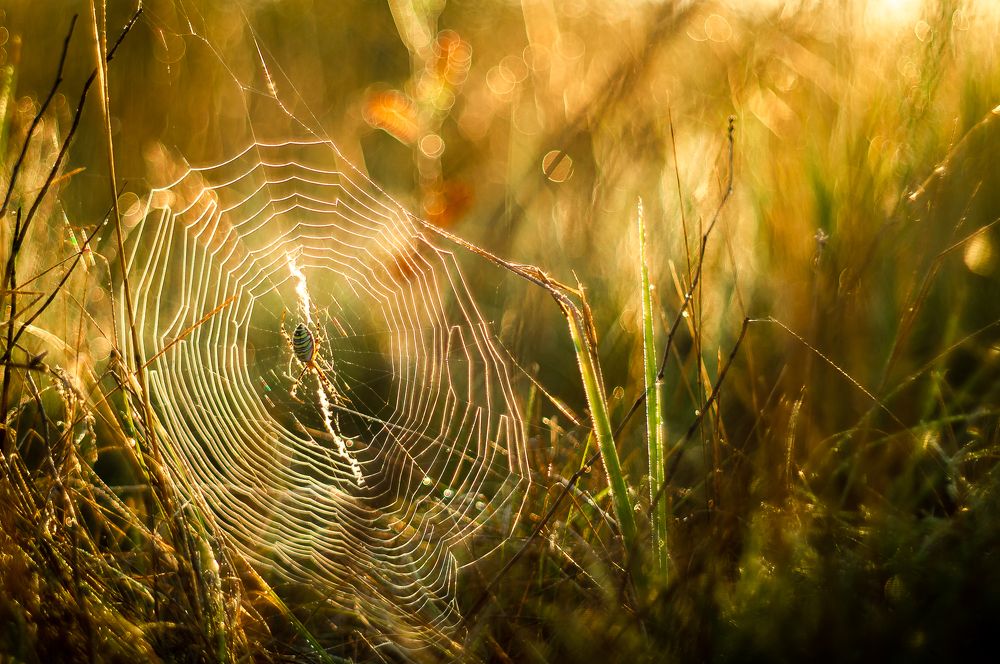 Photograph by Юрий Москалев