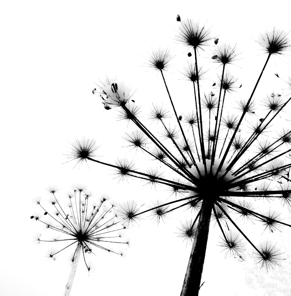 Фотография автора Straand2614