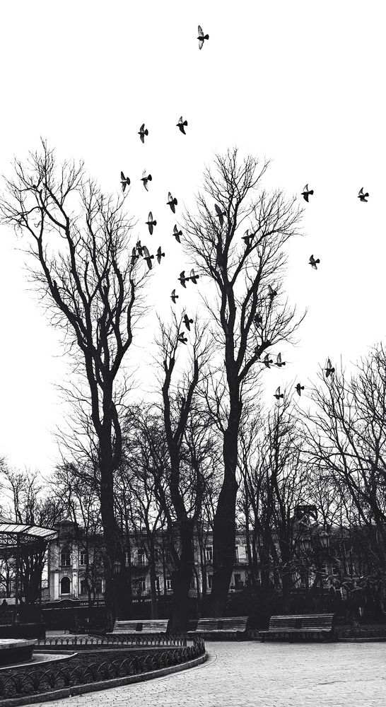 Photograph by Анна Шац