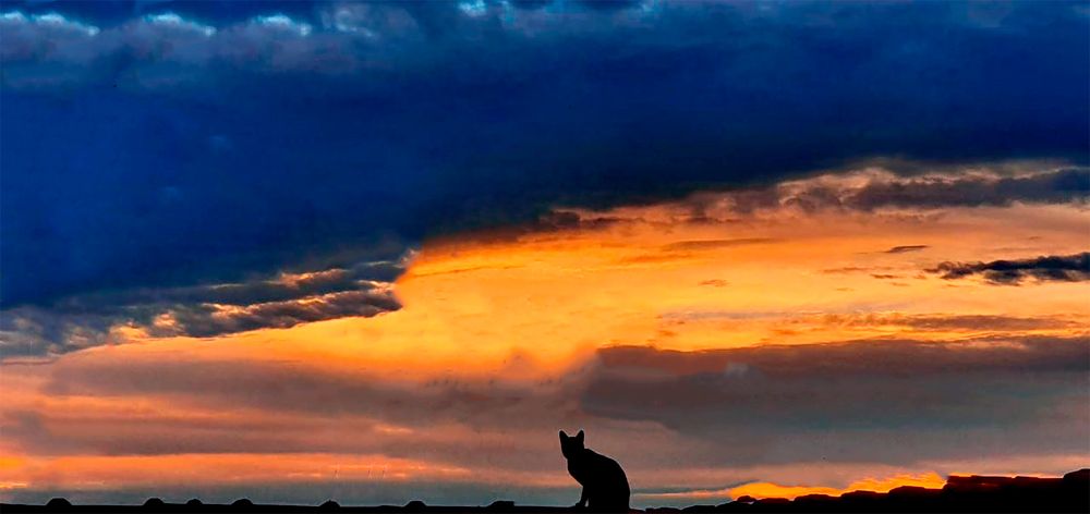 Photograph by Régis Santos