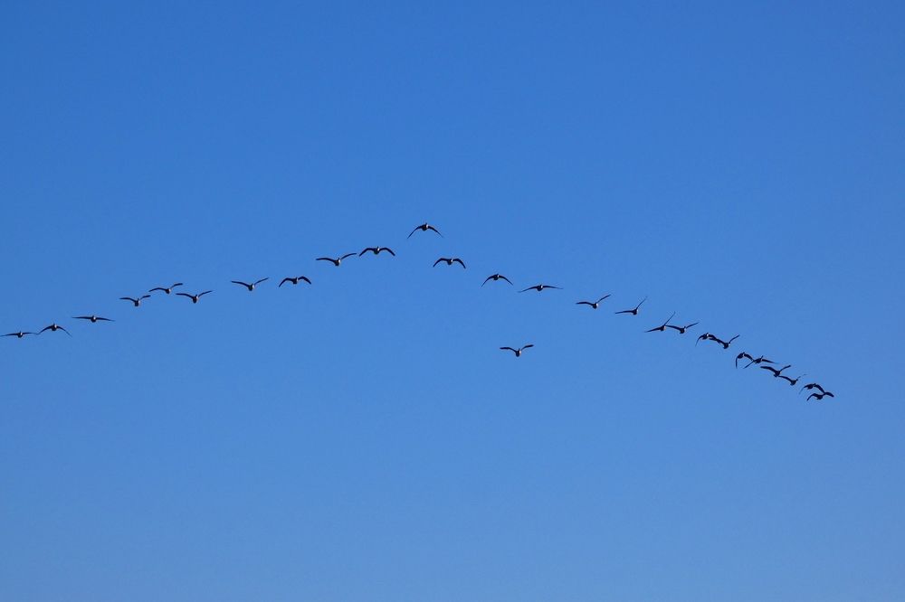 Photograph by backareva irina