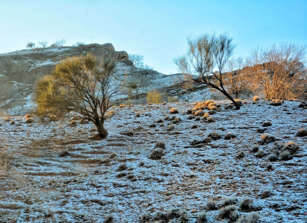 Photograph by Amin Golestanipour