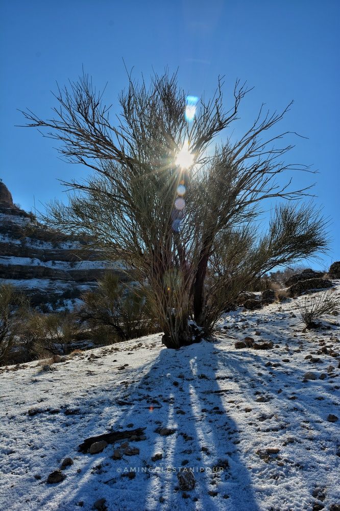 Photograph by Amin Golestanipour