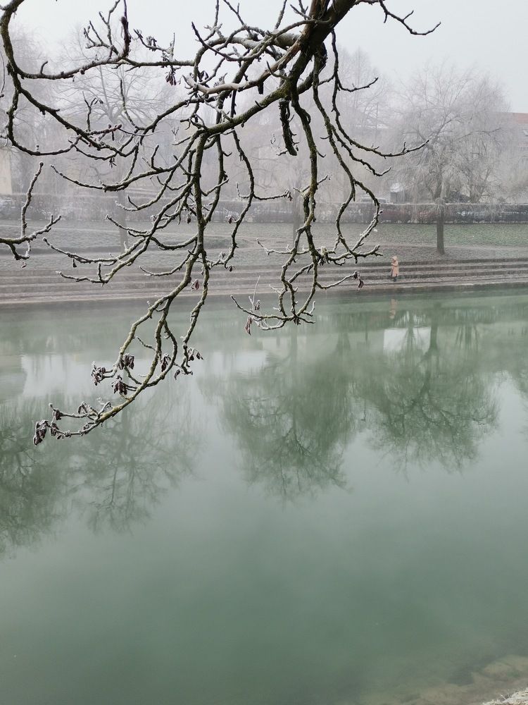 Photograph by Elena Pozdorovkina