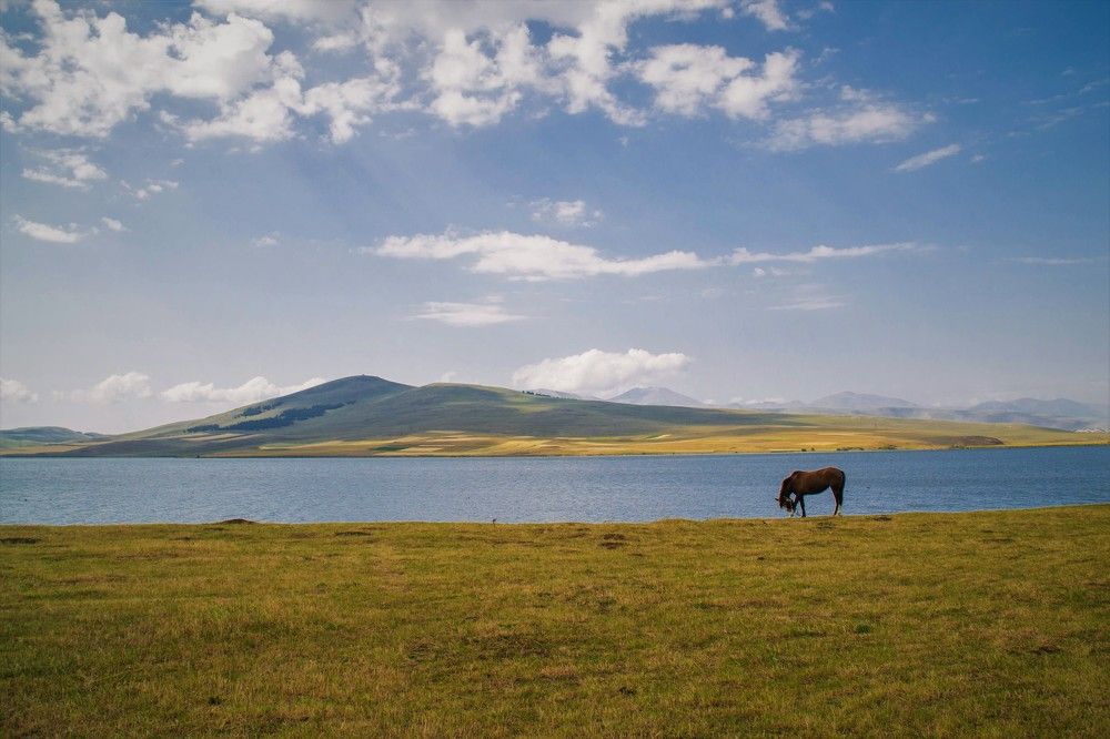 Photograph by Ирина