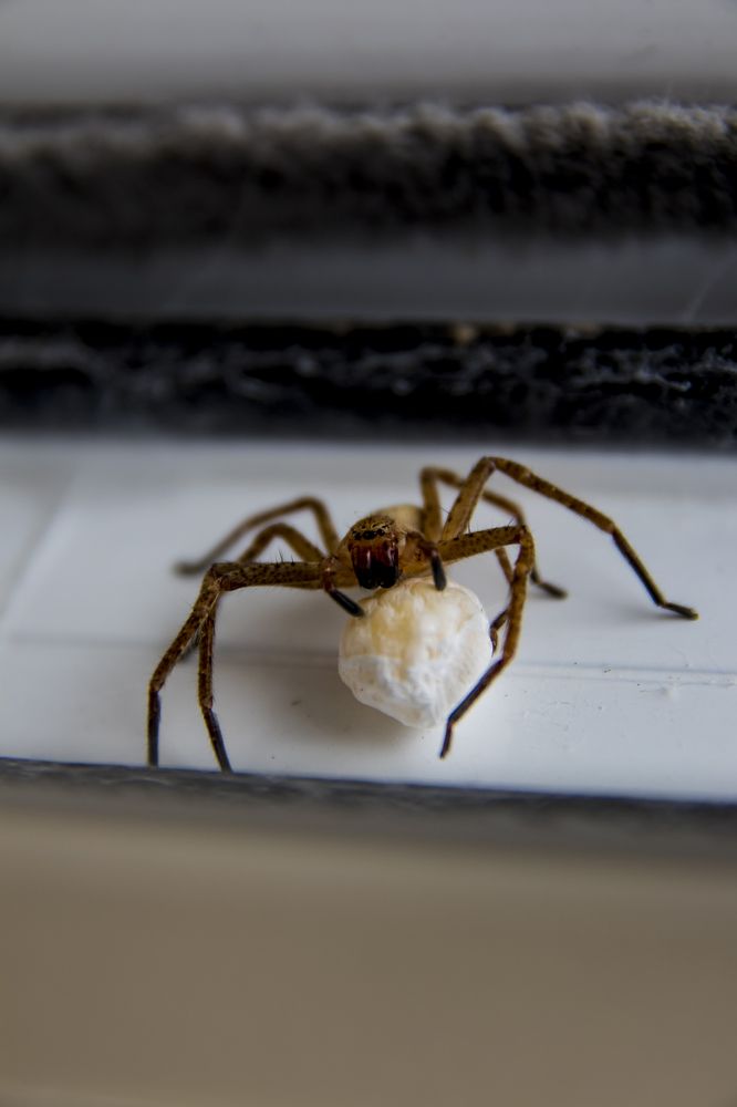 Photograph by Rubén Bermejo Cañas