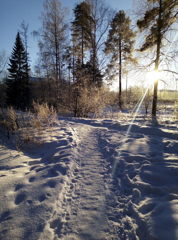 Photo #7076057