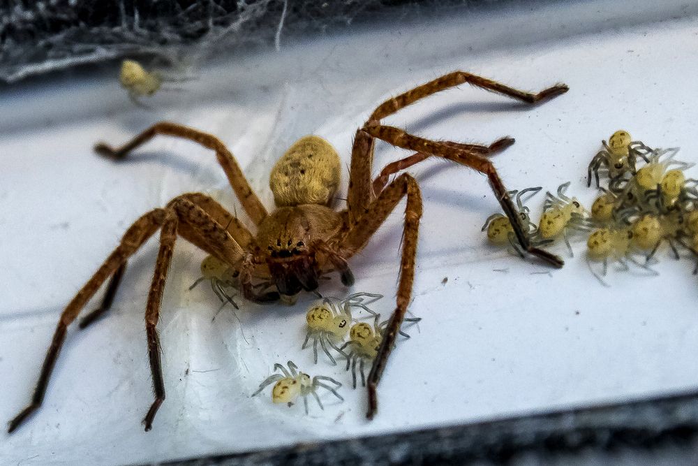 Photograph by Rubén Bermejo Cañas