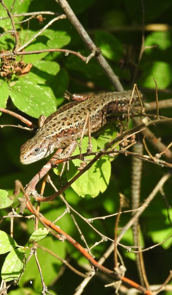 Photograph by Римма Большакова