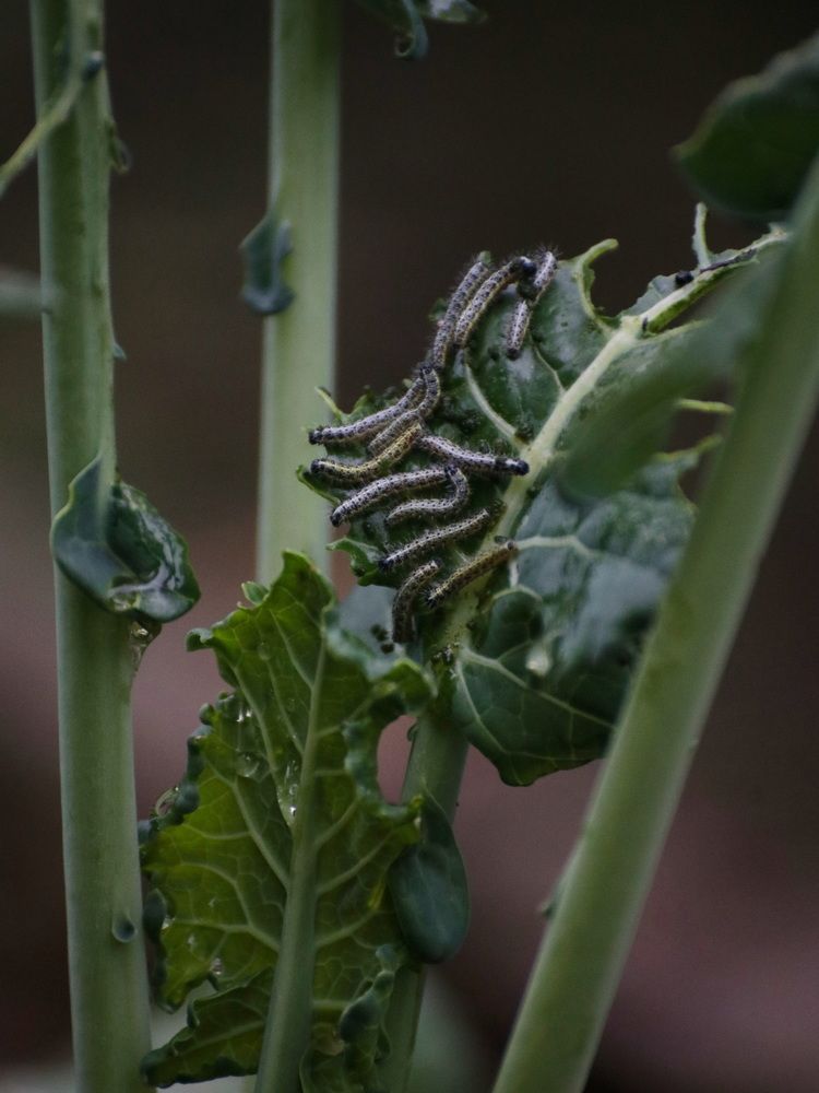 Photograph by Светлана Попкова