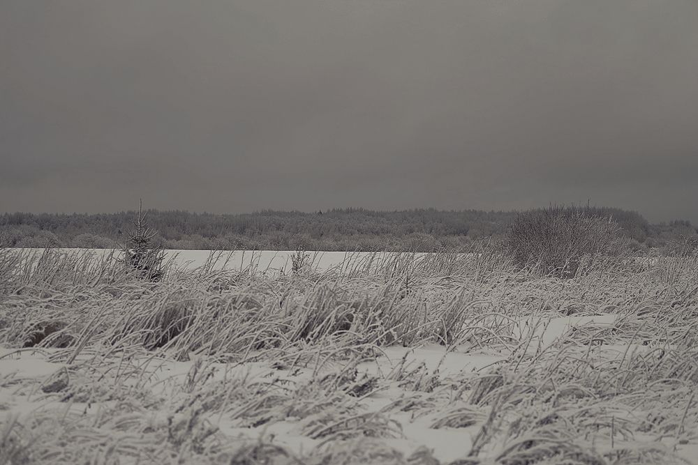 Фотография автора Виктор Конев