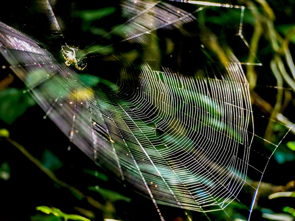 Photograph by Zana Hrkac