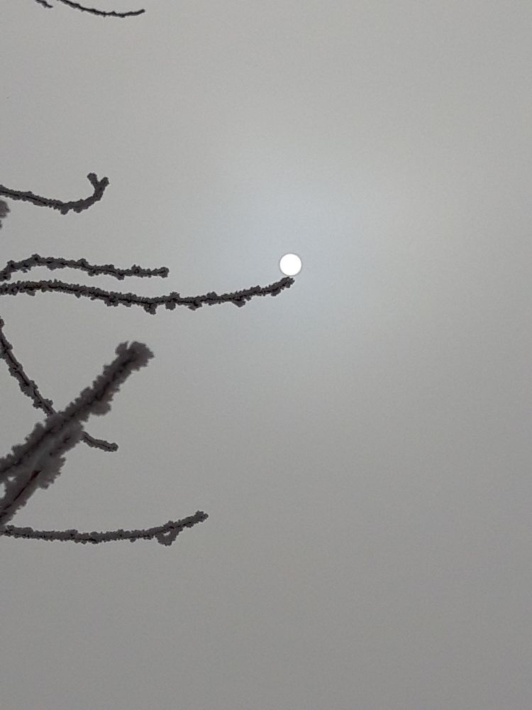 Photograph by Кенжебай Джунушбаев