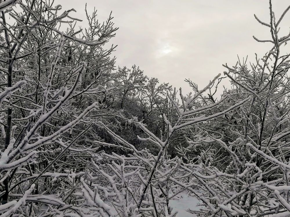 Фотография автора Olena Dyliurman