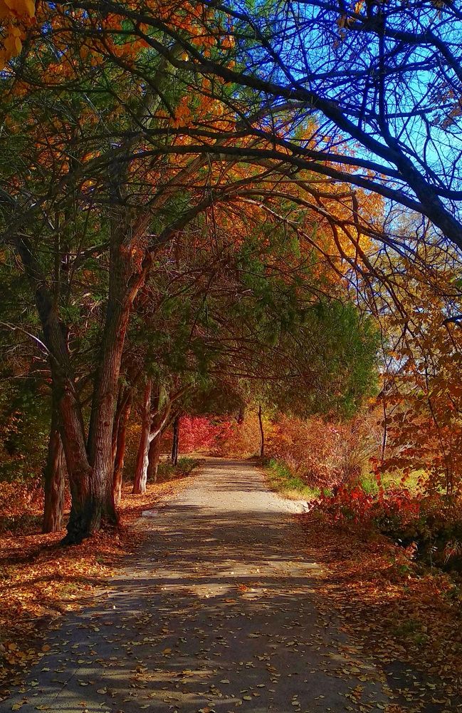 Photograph by Орынбек Асилбаев