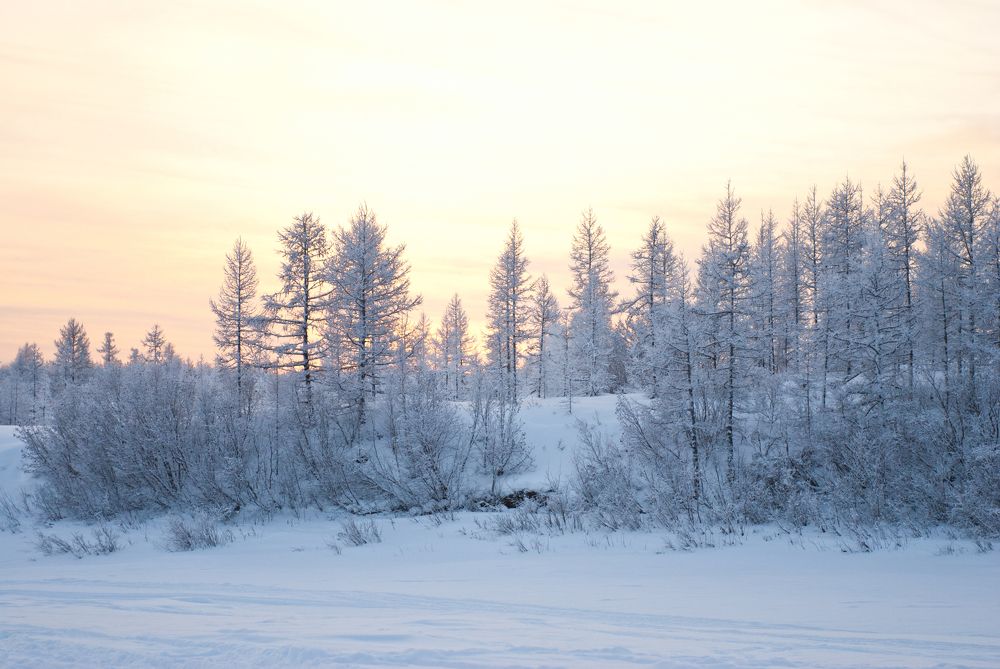 Photograph by Елена Кунц