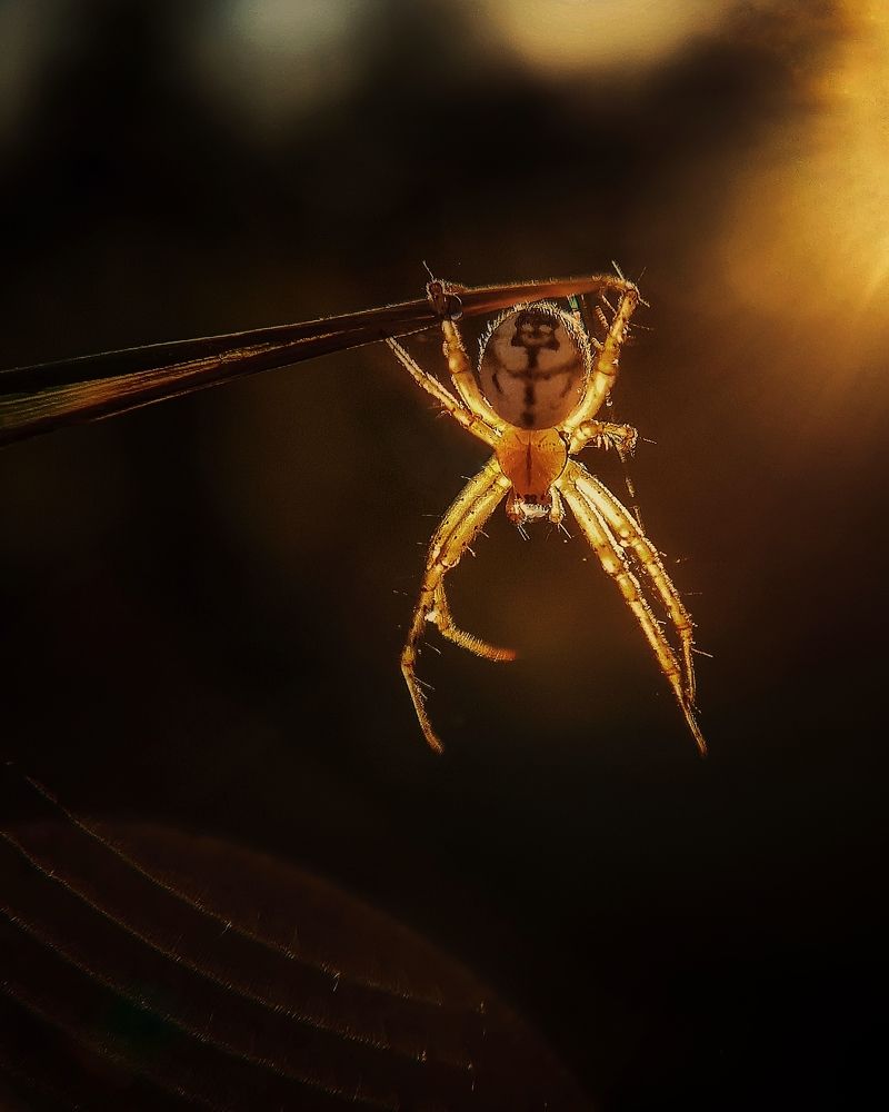 Photograph by Сергей Колос