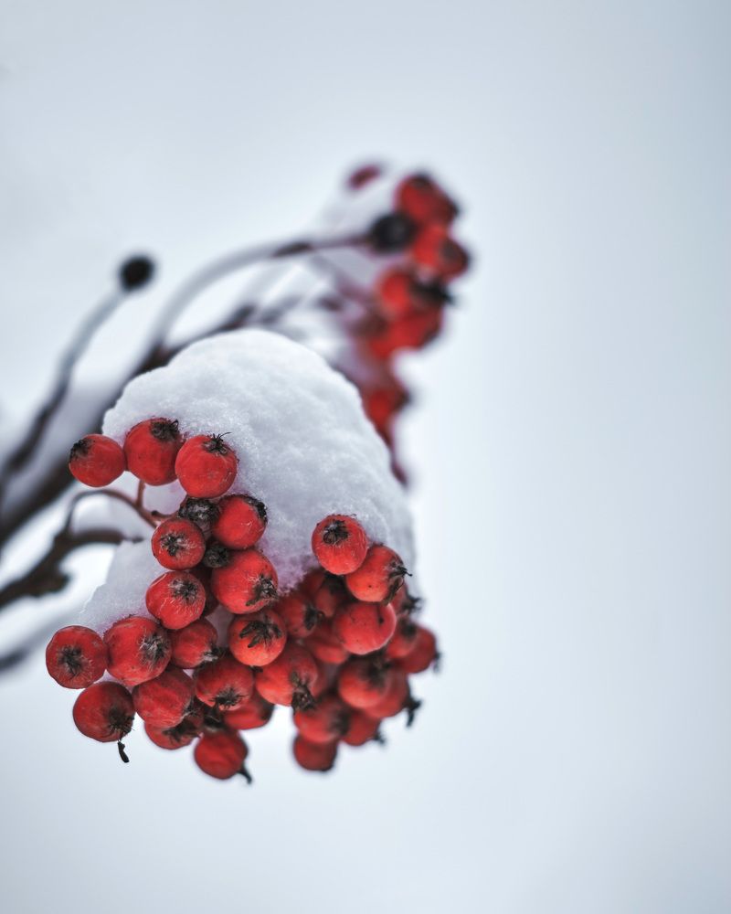 Photograph by Эн Скляров