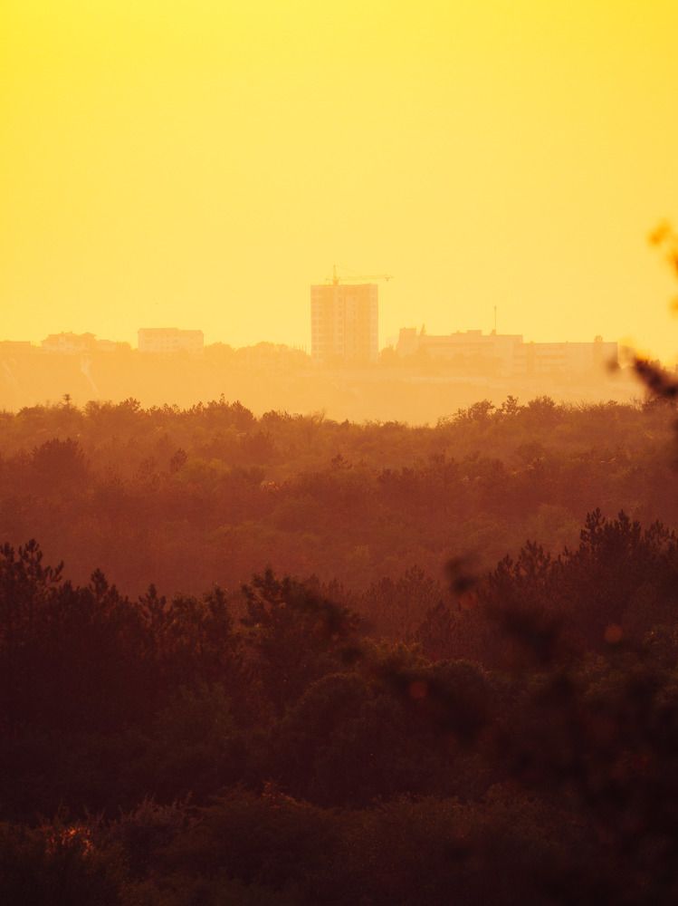 Photograph by Донской Дмитрий