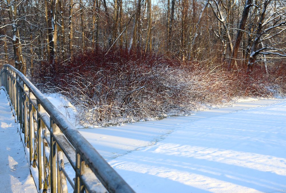 Photograph by Виктор Полуэктов