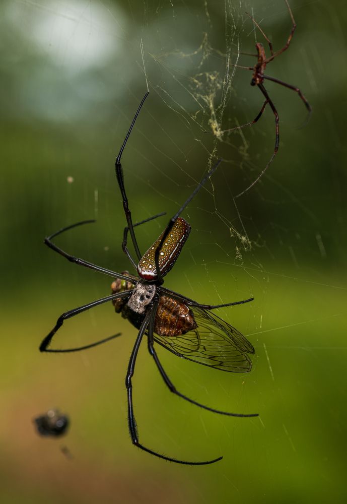 Photograph by Manuel Calvo