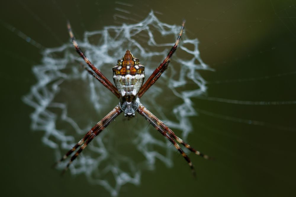 Photograph by Manuel Calvo