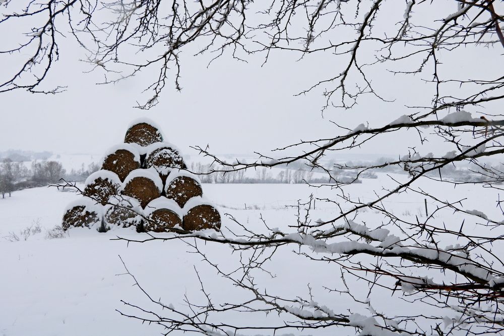 Photograph by SILVIJA BUTKOVIC