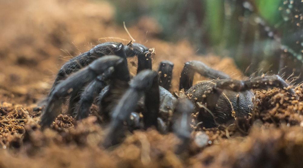 Photograph by Сергей Хранитель