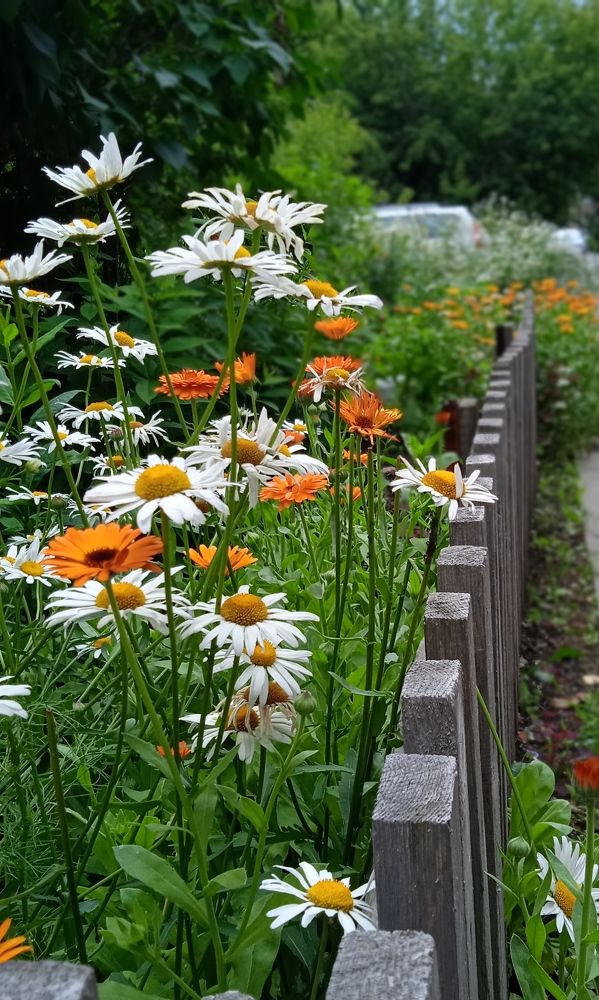 Photograph by Елена Гальцова