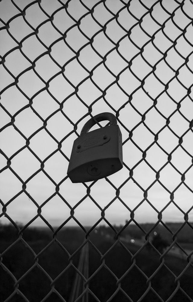 Фотография автора Наталья Синицына