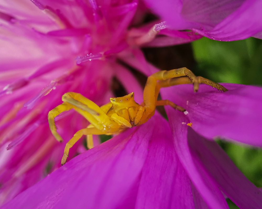 Фотография автора Дмитрий Деревянко