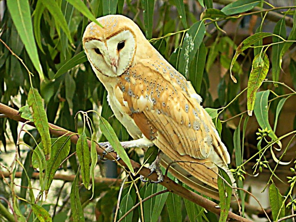 Photograph by Сергей Рапопорт